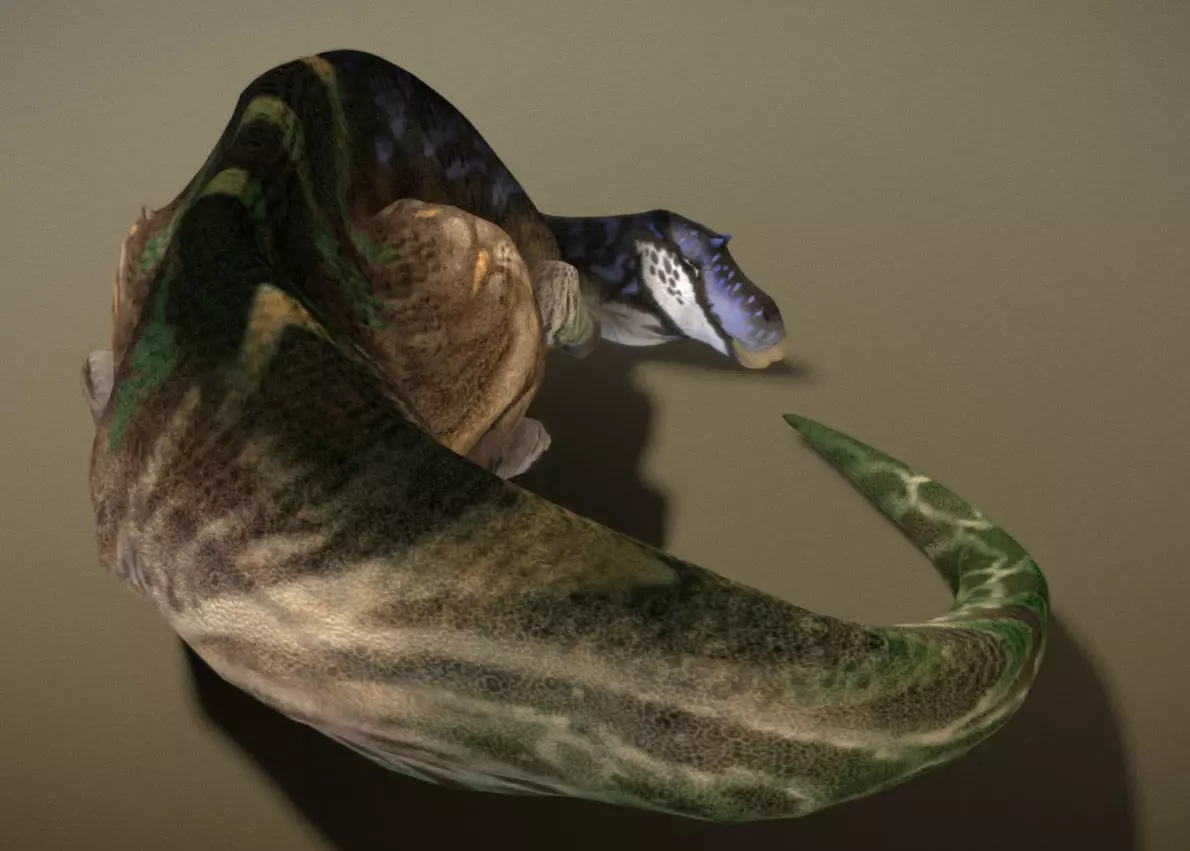 Maiasaura  The Good Mother Dinosaur Low-poly 3D model_12