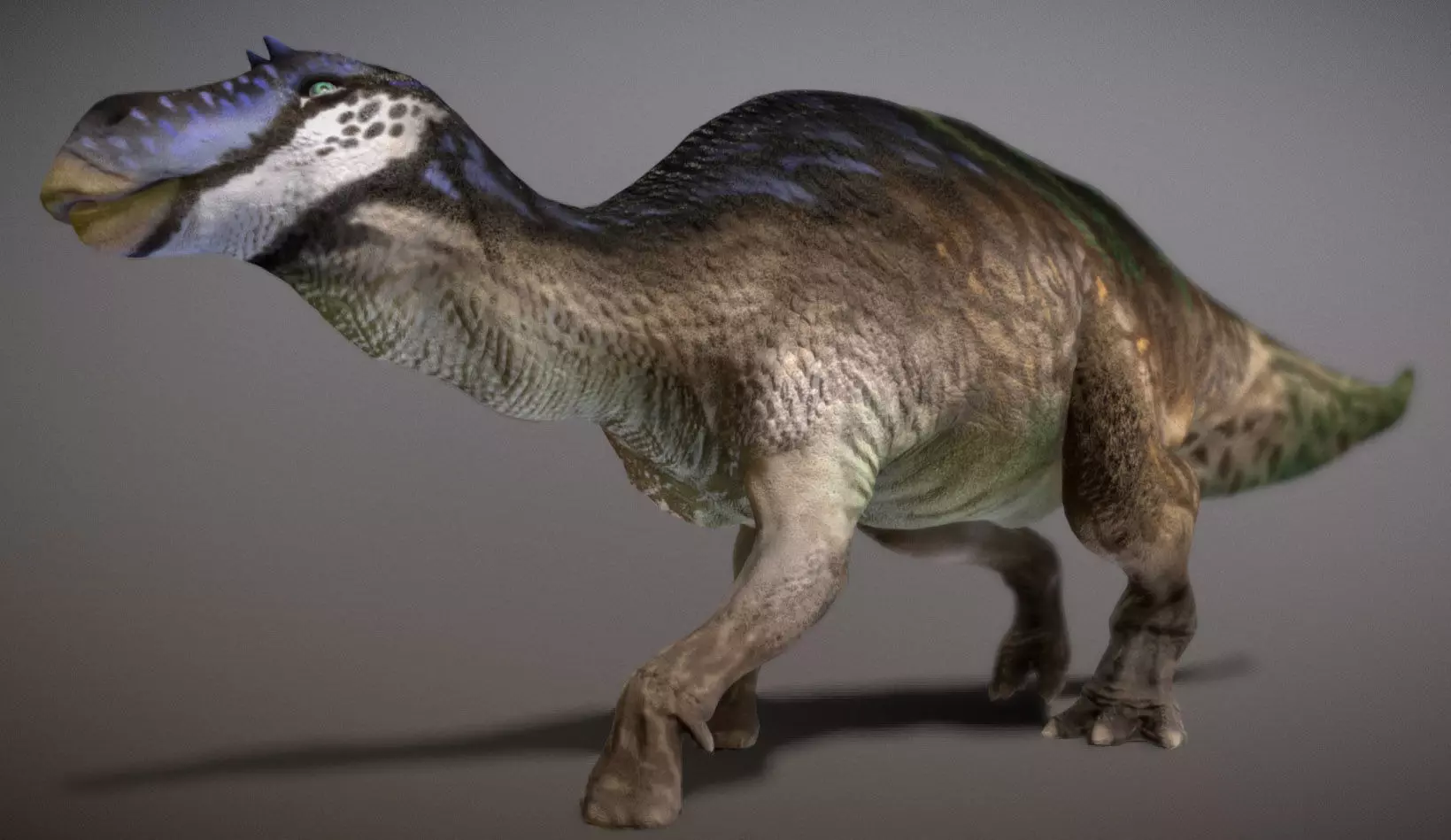 Maiasaura  The Good Mother Dinosaur Low-poly 3D model_2
