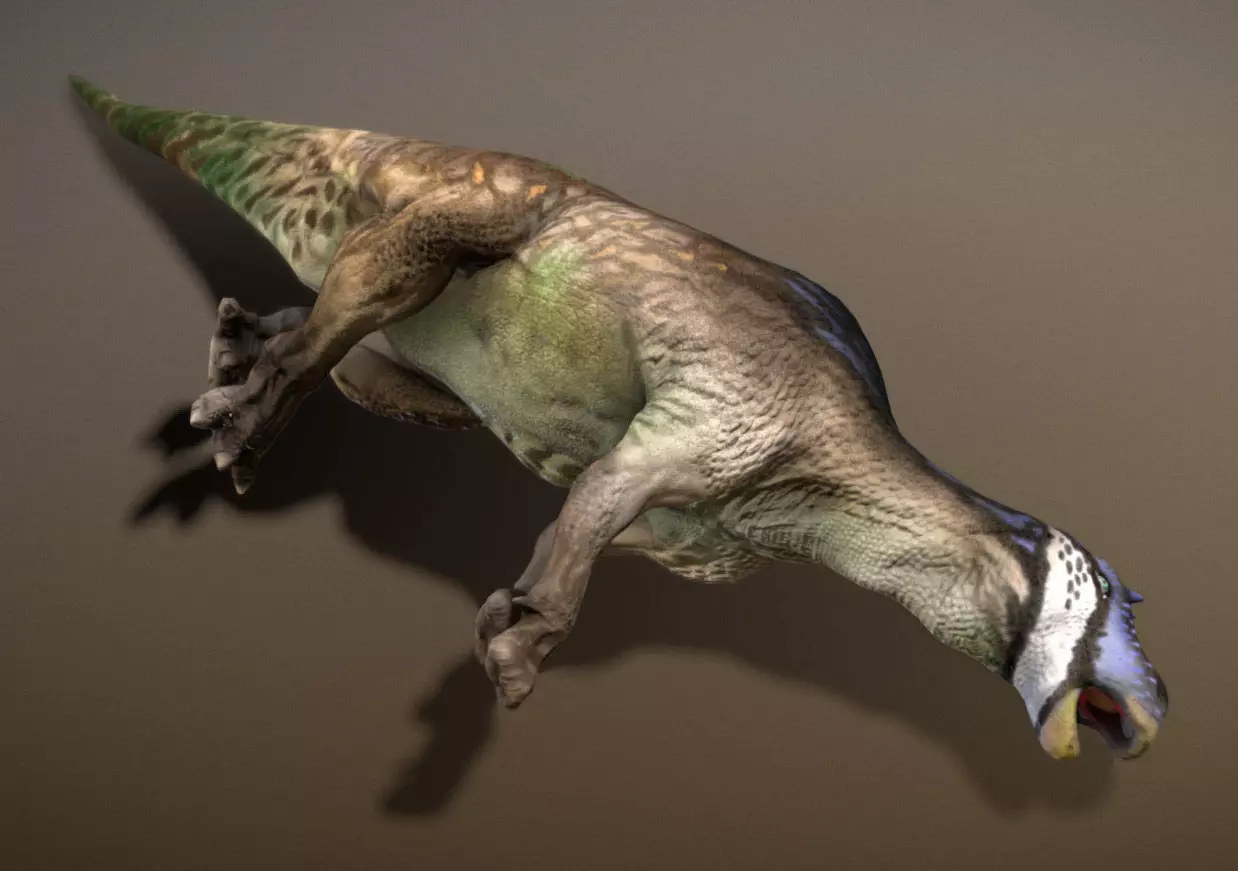 Maiasaura  The Good Mother Dinosaur Low-poly 3D model_7