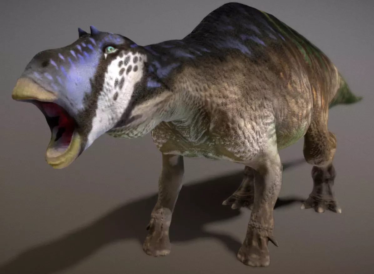 Maiasaura  The Good Mother Dinosaur Low-poly 3D model_10