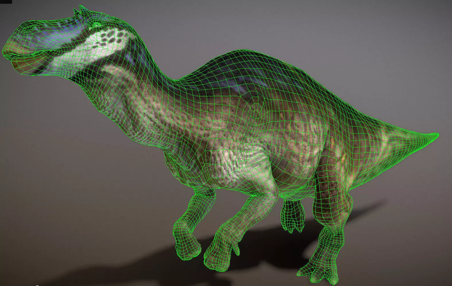 Maiasaura  The Good Mother Dinosaur Low-poly 3D model_3