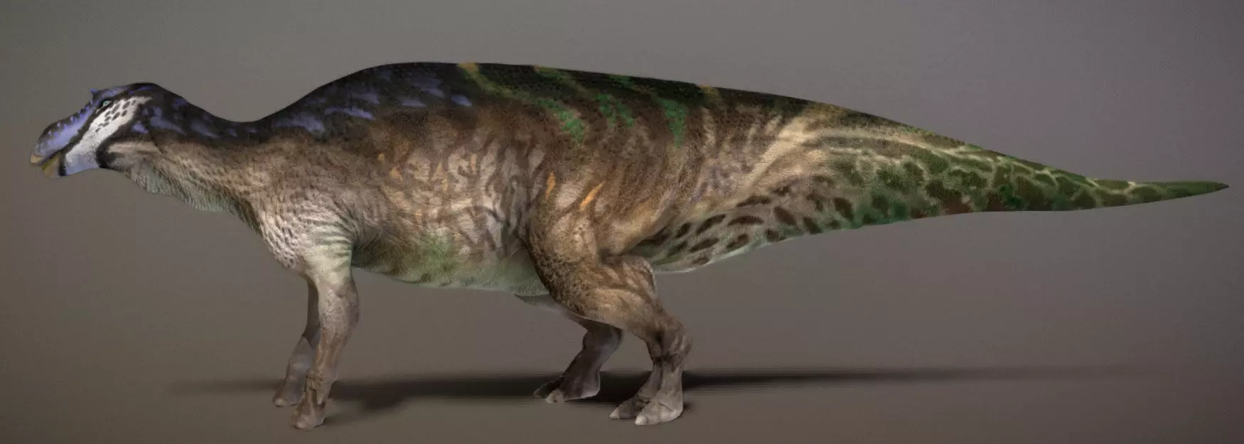 Maiasaura  The Good Mother Dinosaur Low-poly 3D model_11