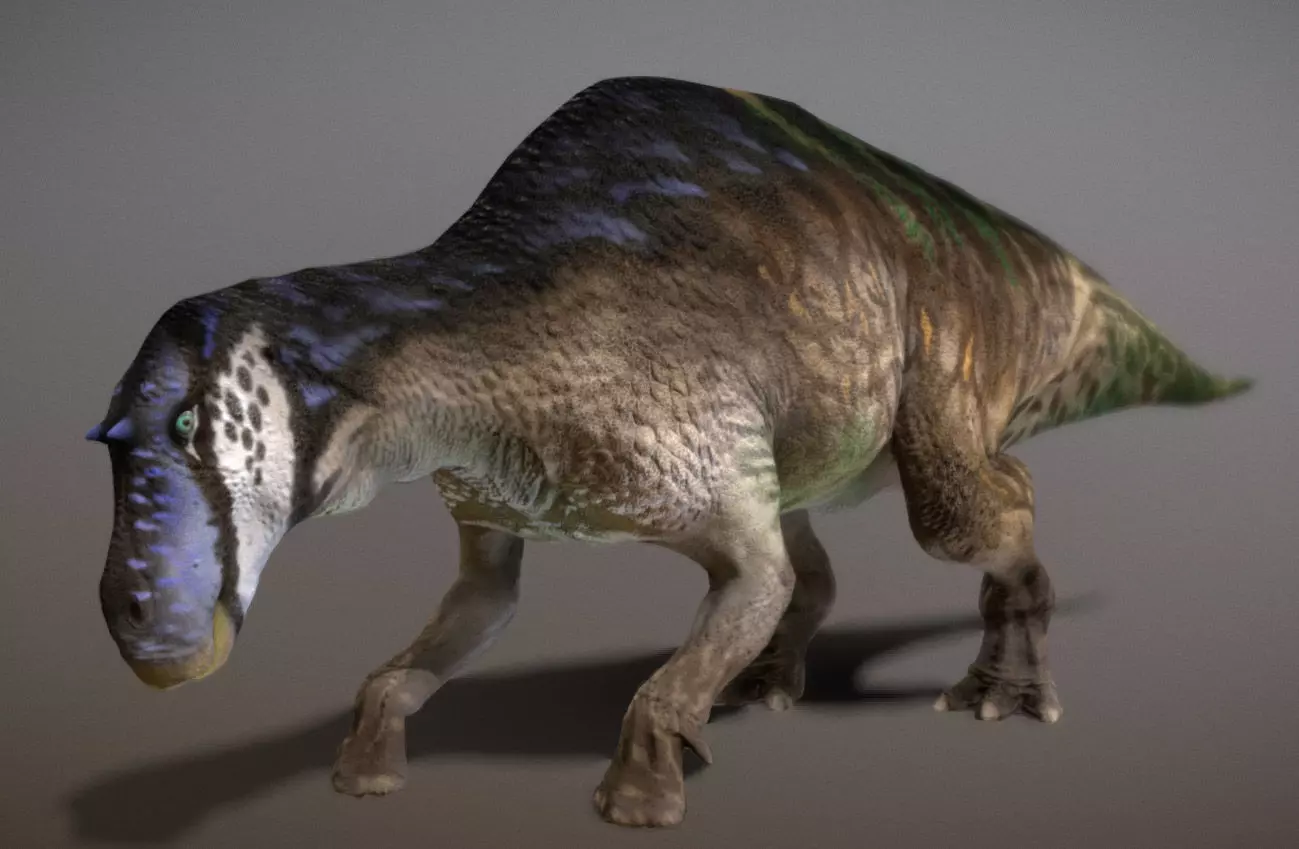 Maiasaura  The Good Mother Dinosaur Low-poly 3D model_9