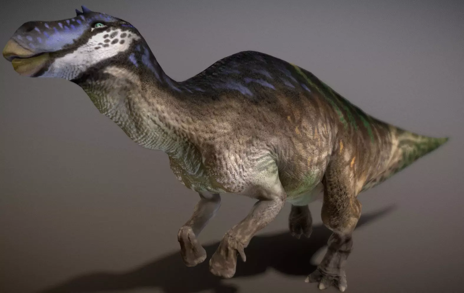 Maiasaura  The Good Mother Dinosaur Low-poly 3D model_4