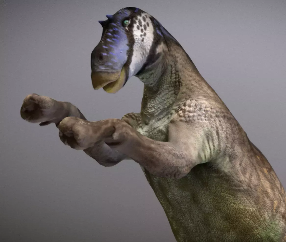 Maiasaura  The Good Mother Dinosaur Low-poly 3D model_6