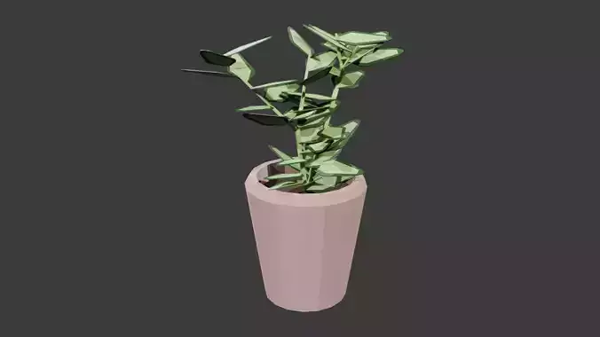 Potted Plant