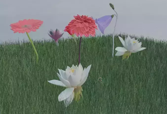 3D Flower Models