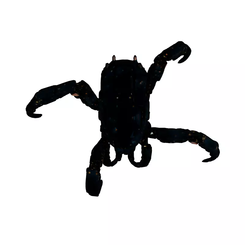 SciFi Mechanical Spider Robot Rigged Low-poly 3D model_8