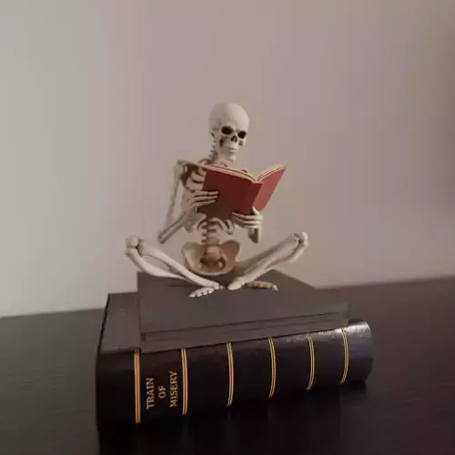 skeleton decoration for book shelf