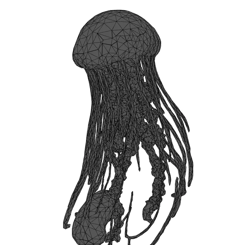 Realistic Pink Jellyfish 3D Model Low-poly 3D model_1