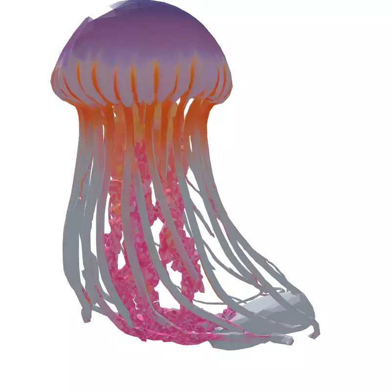 Realistic Pink Jellyfish 3D Model Low-poly 3D model_7