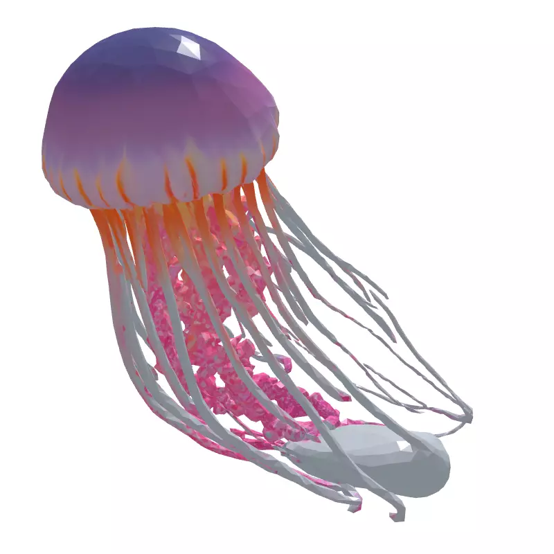 Realistic Pink Jellyfish 3D Model Low-poly 3D model_6
