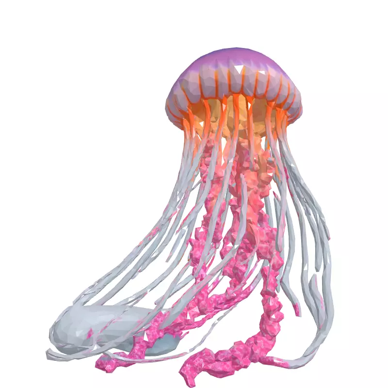 Realistic Pink Jellyfish 3D Model Low-poly 3D model_4