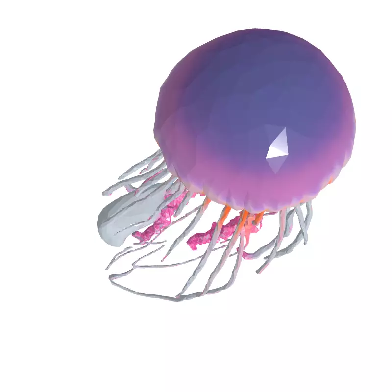 Realistic Pink Jellyfish 3D Model Low-poly 3D model_8