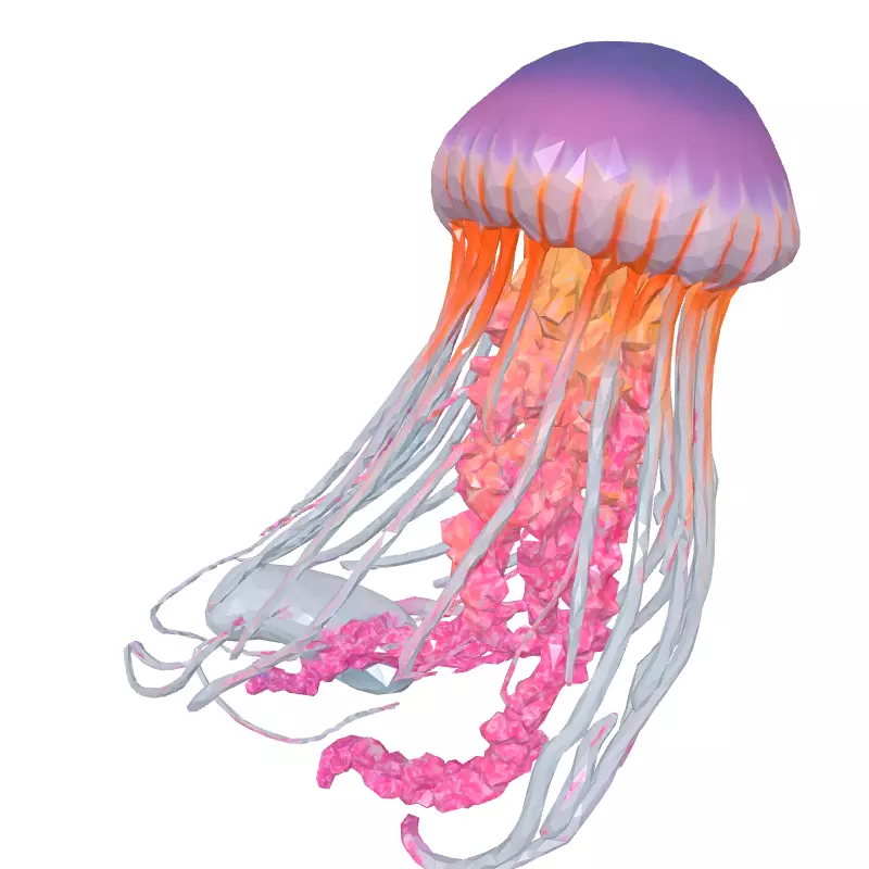 Realistic Pink Jellyfish 3D Model Low-poly 3D model_2