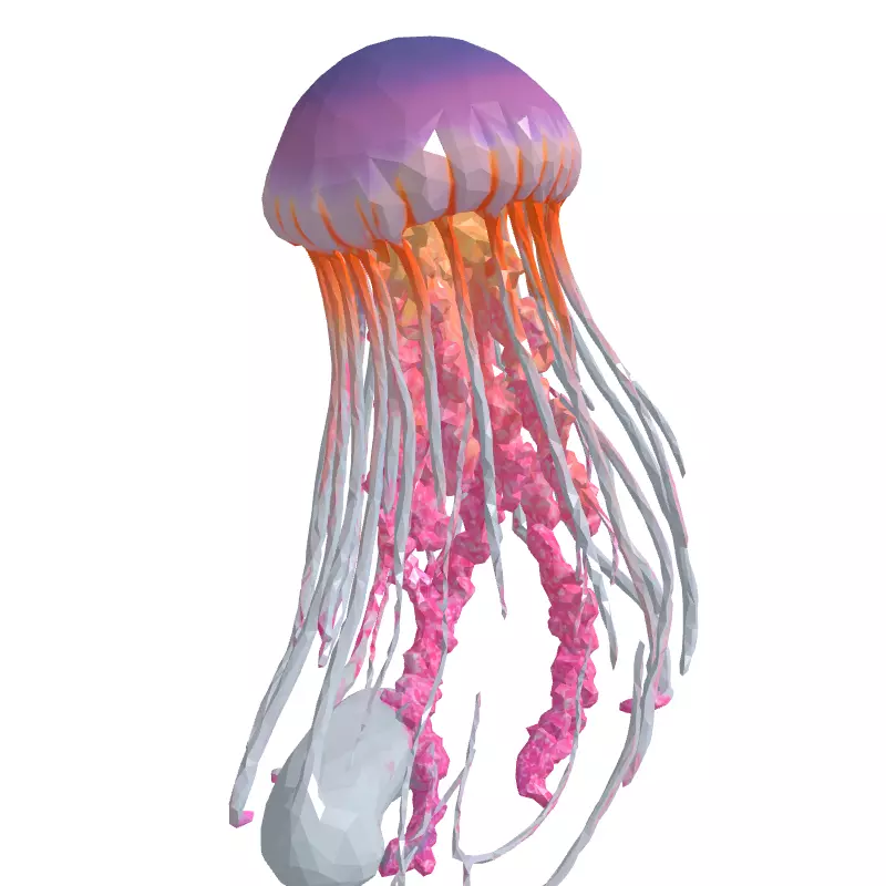 Realistic Pink Jellyfish 3D Model Low-poly 3D model_3