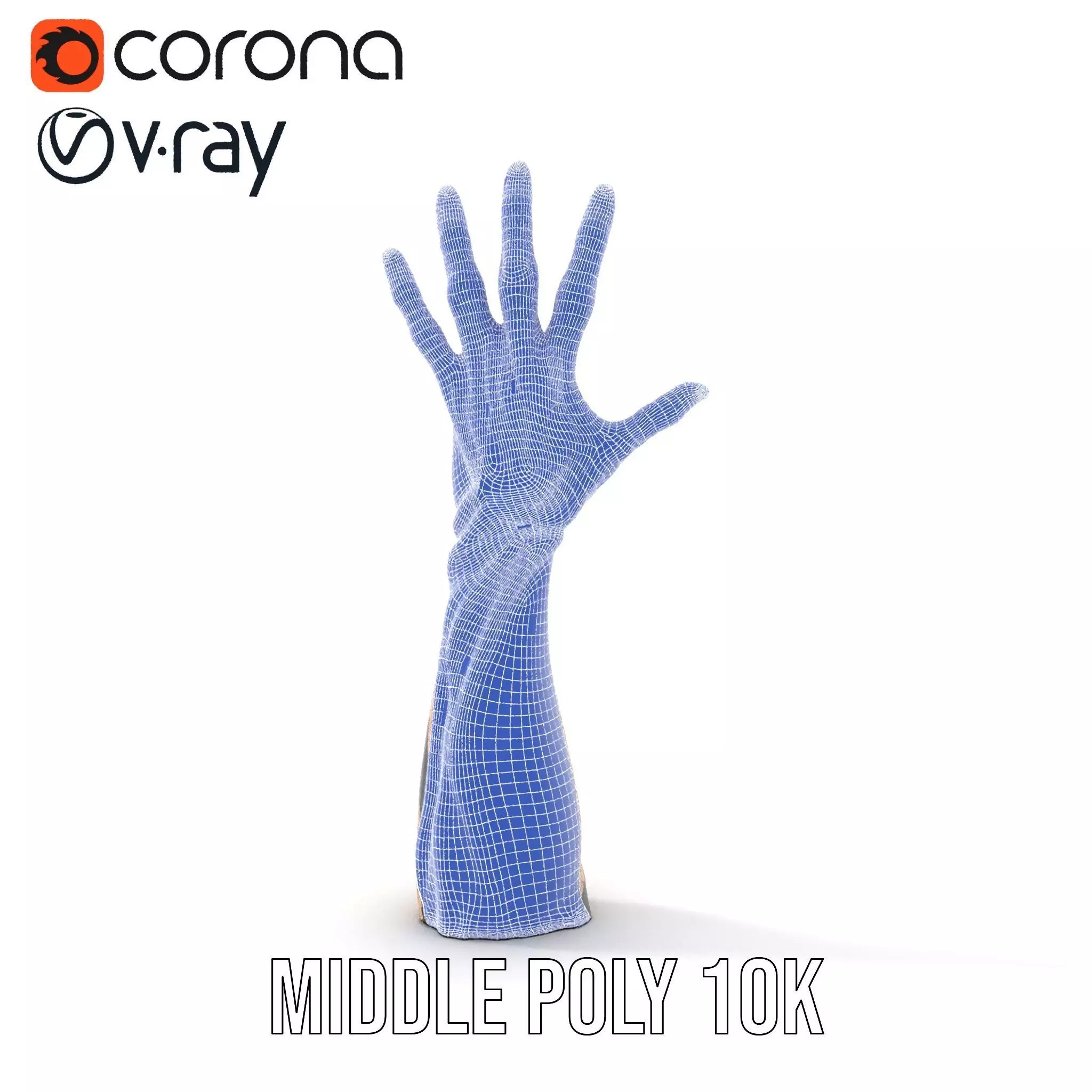 Zebra Striped Creature Hand model pack Low-poly 3D model_16