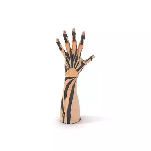 Zebra Striped Creature Hand model pack