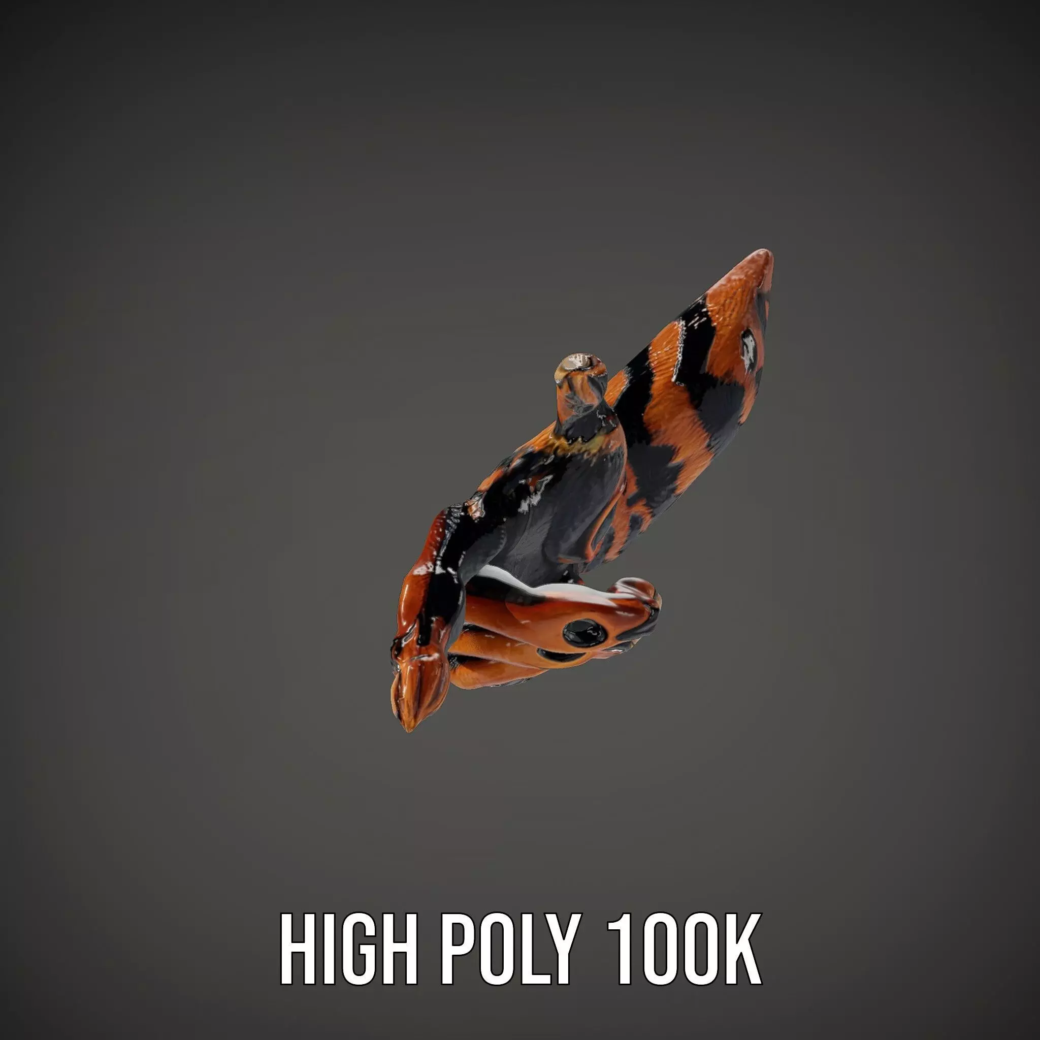 Fantasy Creature Hand Model Pack with Textured Claws Low-poly 3D model_10