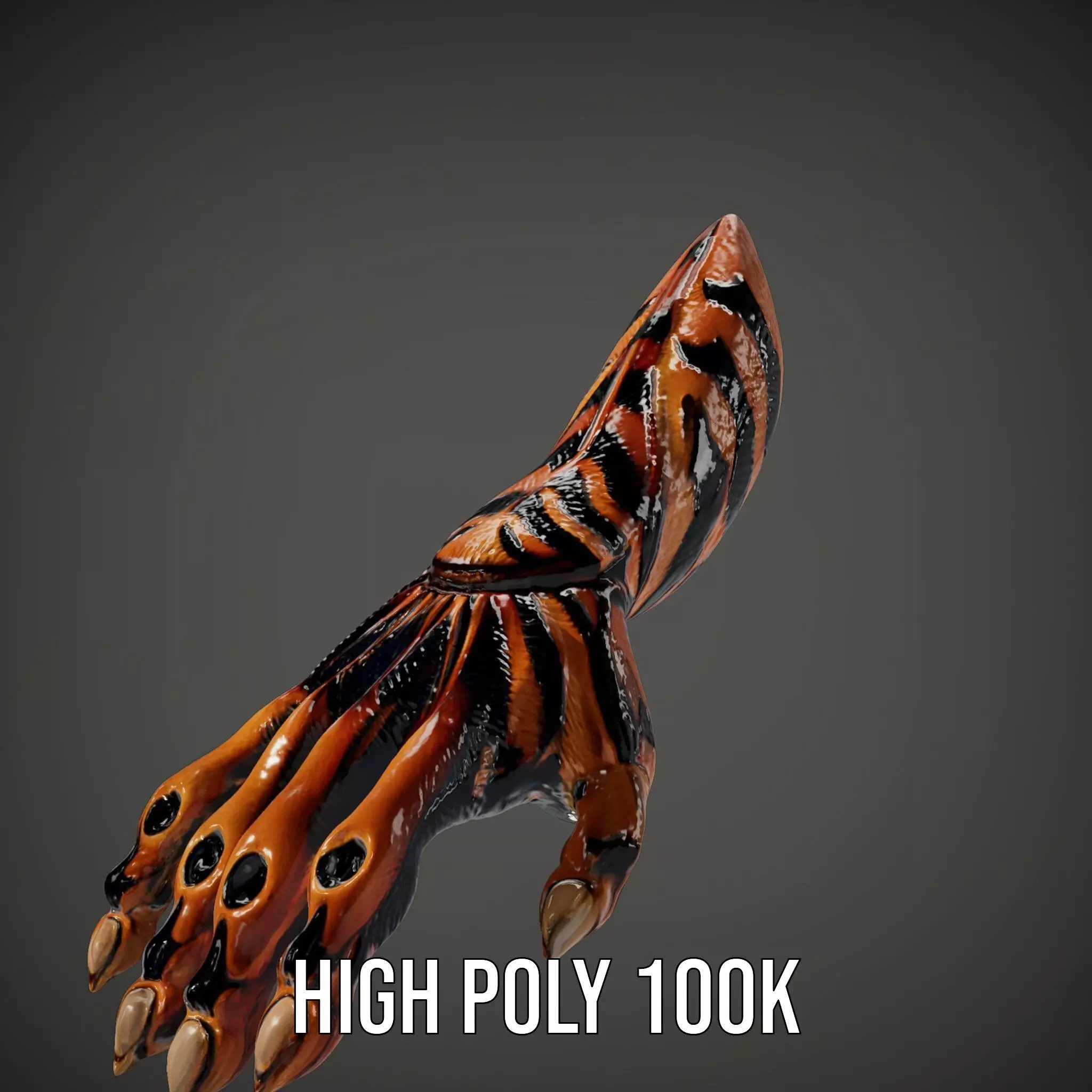 Fantasy Creature Hand Model Pack with Textured Claws Low-poly 3D model_13