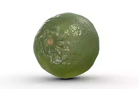 High-Resolution 3D Lime Model   3D model 6