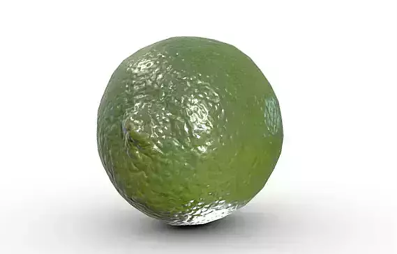 High-Resolution 3D Lime Model   3D model 2