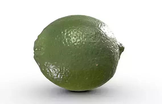 High-Resolution 3D Lime Model   3D model 5