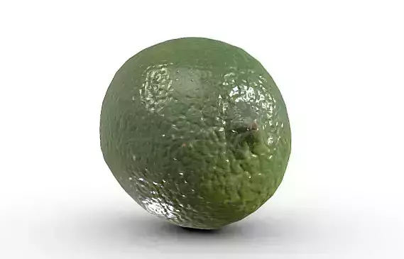 High-Resolution 3D Lime Model   3D model 4