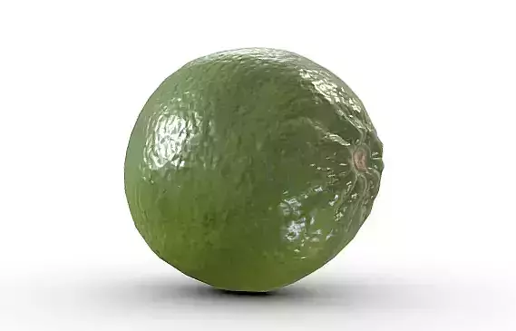High-Resolution 3D Lime Model   3D model 7