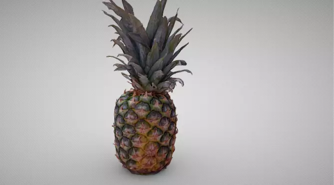 High-Resolution 3D Pineapple Model 3D model_5
