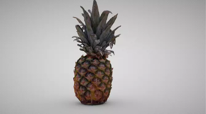 High-Resolution 3D Pineapple Model 3D model_2