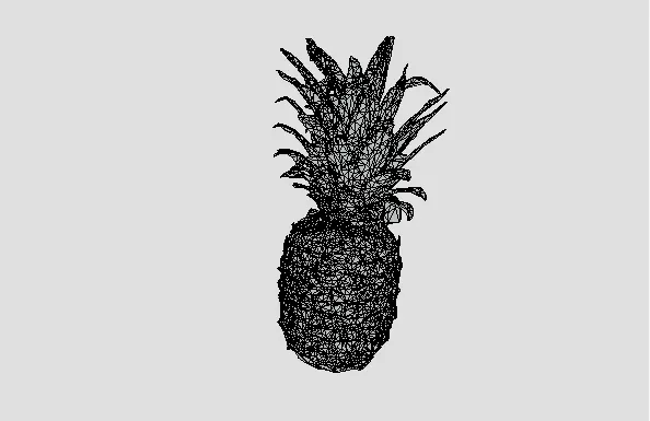 High-Resolution 3D Pineapple Model 3D model_16