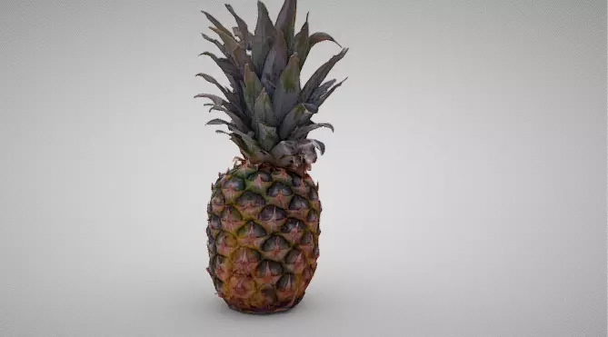 High-Resolution 3D Pineapple Model 3D model_4
