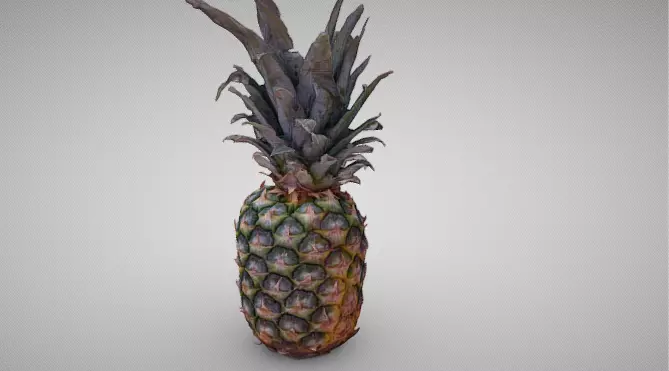 High-Resolution 3D Pineapple Model 3D model_6