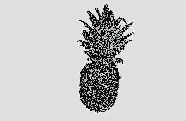 High-Resolution 3D Pineapple Model 3D model_15