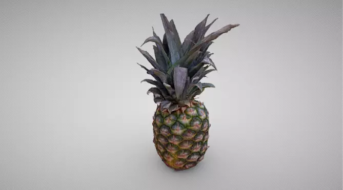 High-Resolution 3D Pineapple Model 3D model_11