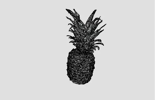 High-Resolution 3D Pineapple Model 3D model_17