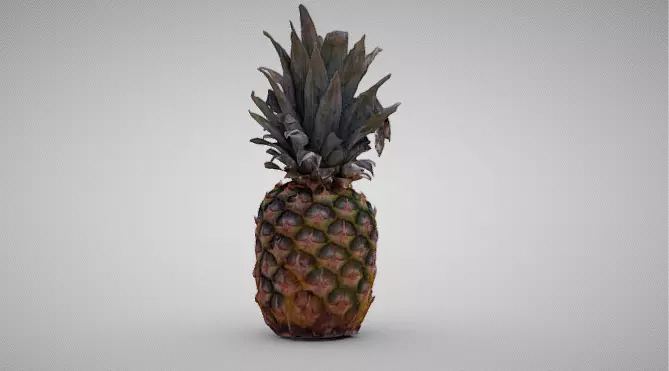 High-Resolution 3D Pineapple Model 3D model_1