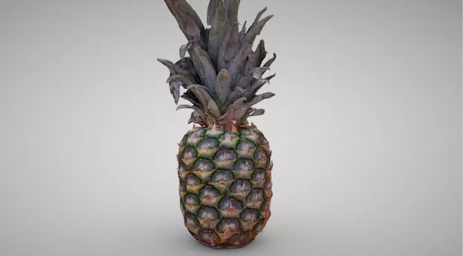 High-Resolution 3D Pineapple Model 3D model_7