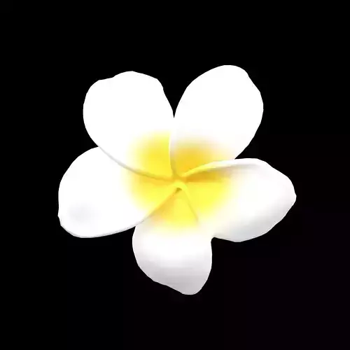 Plumeria Flower v1 001