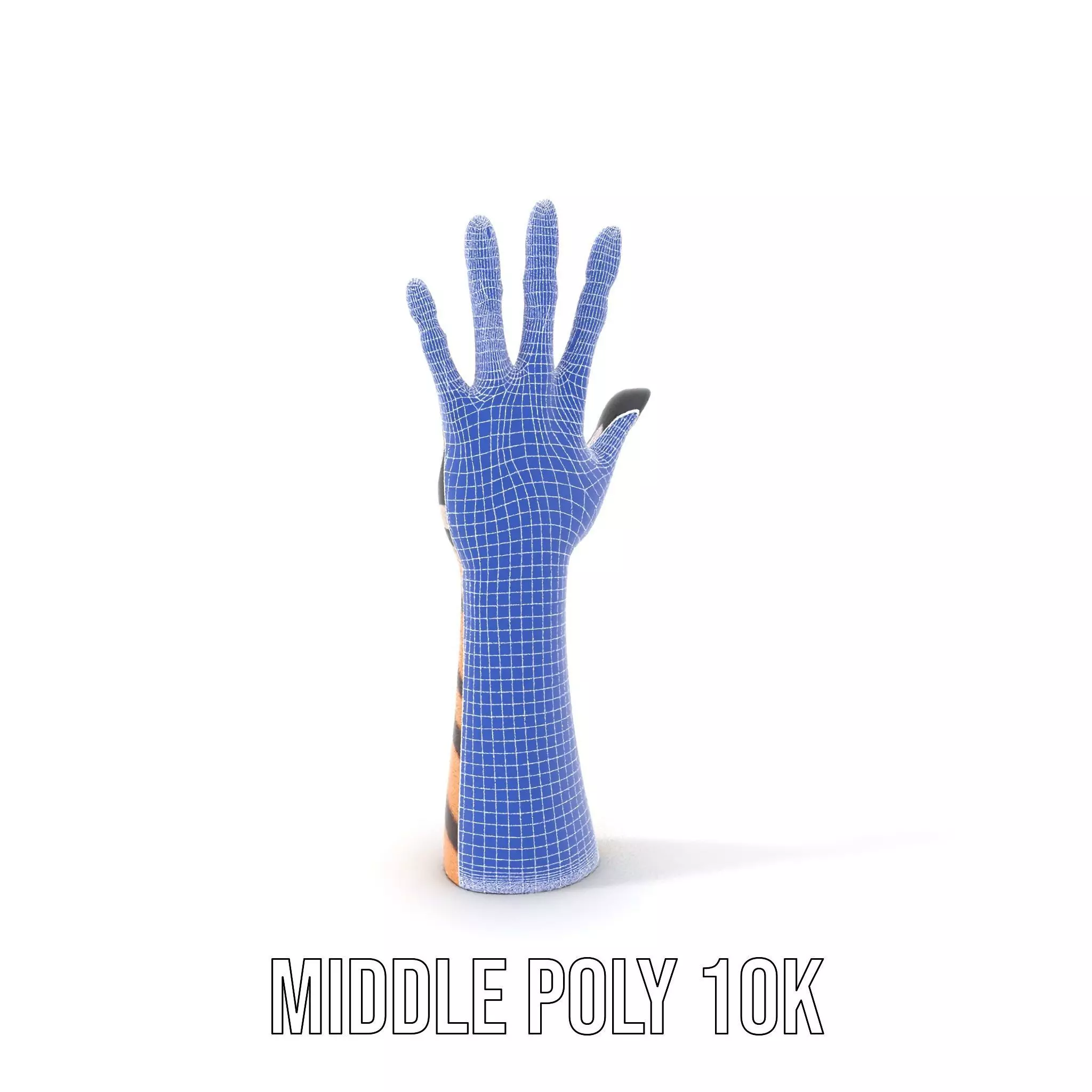 Tattooed Hand Model Pack with Zebra Pattern Design Low-poly 3D model_24