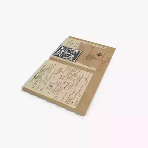 Hospital File 01 Low-poly 3D model