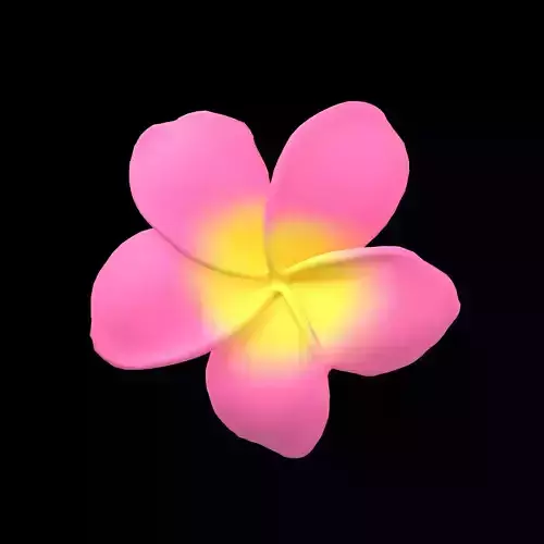 Plumeria Flower v1 002