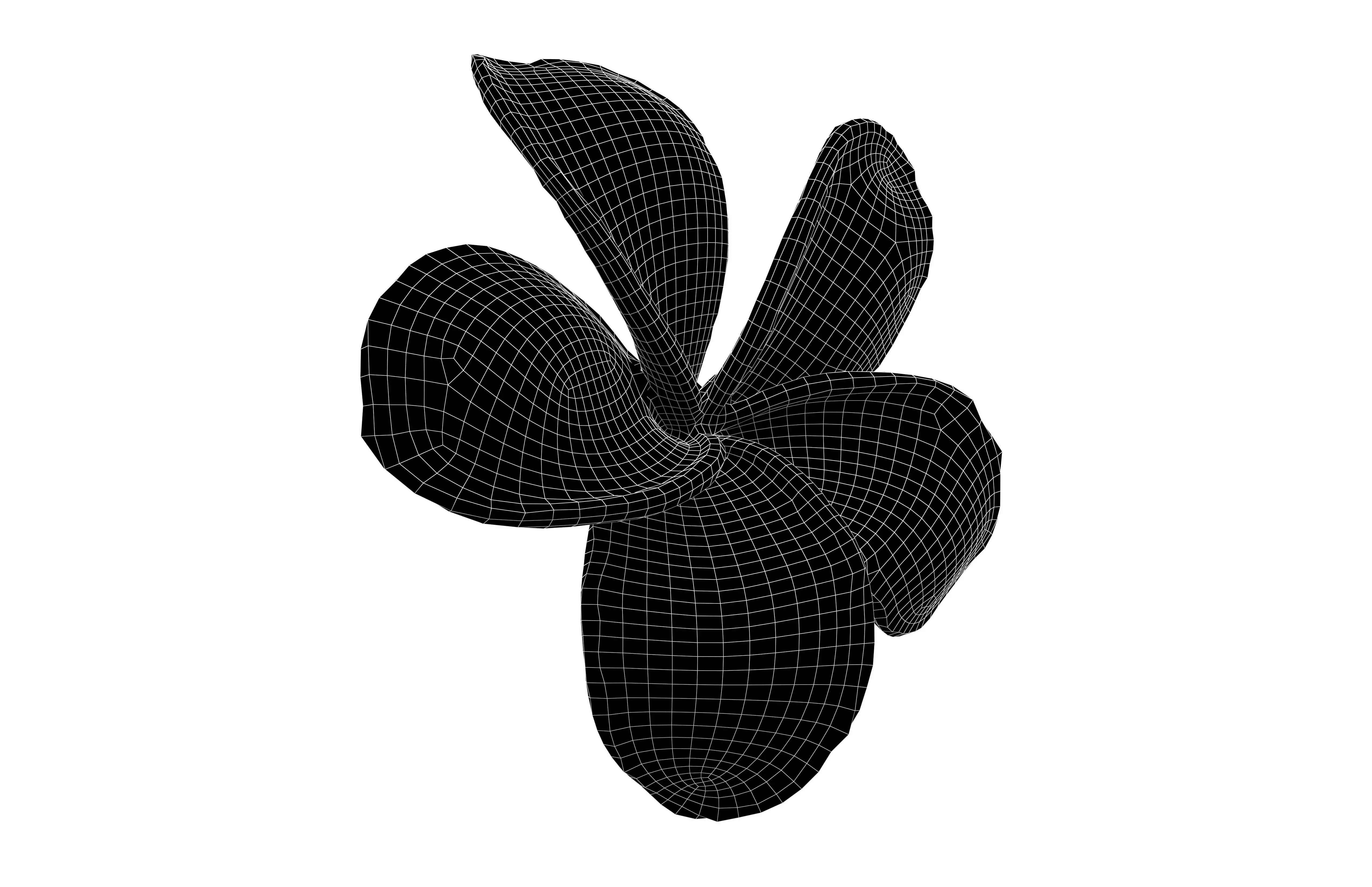 Plumeria Flower v1 004 Low-poly 3D model_7