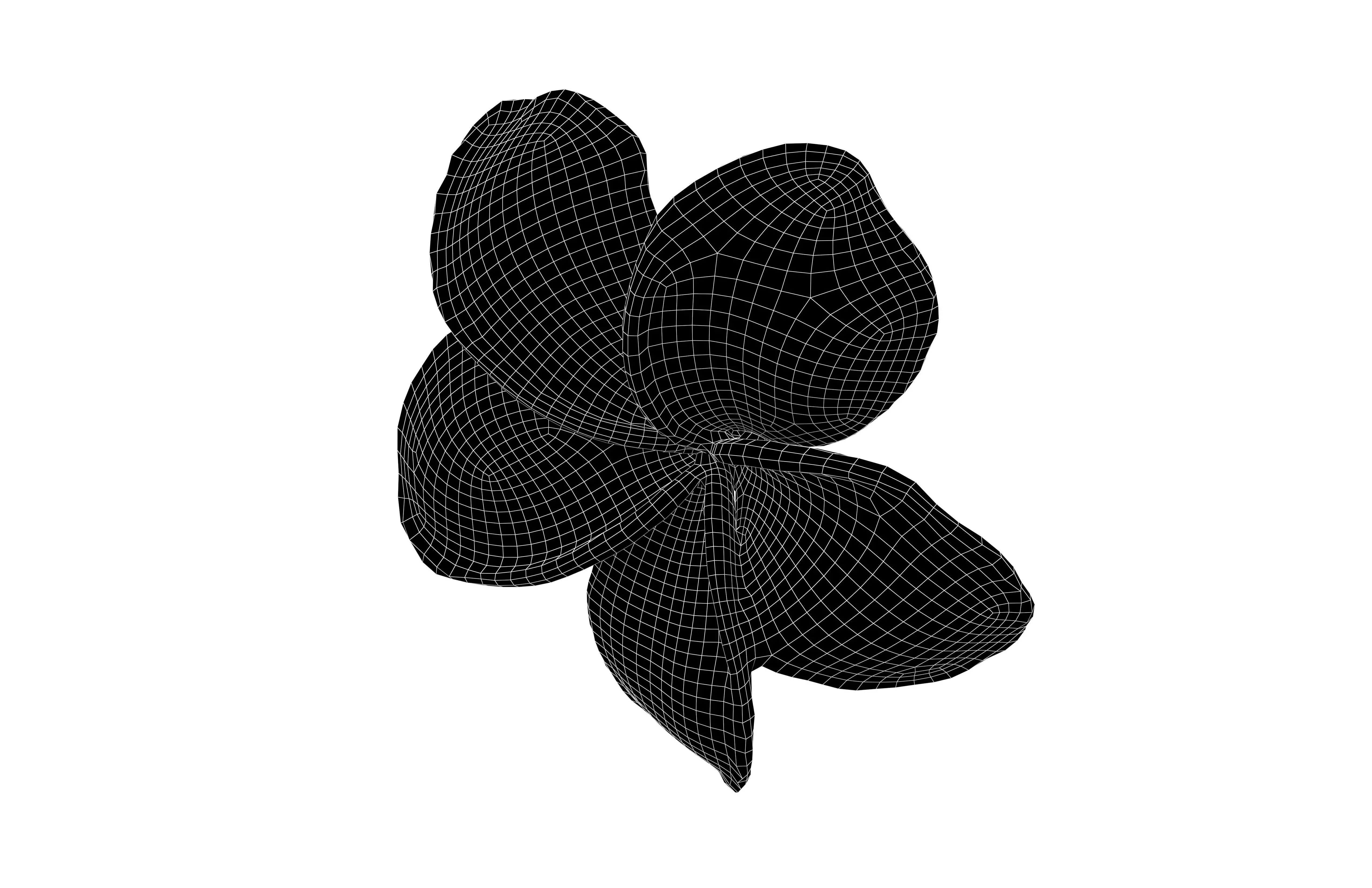 Plumeria Flower v1 004 Low-poly 3D model_6