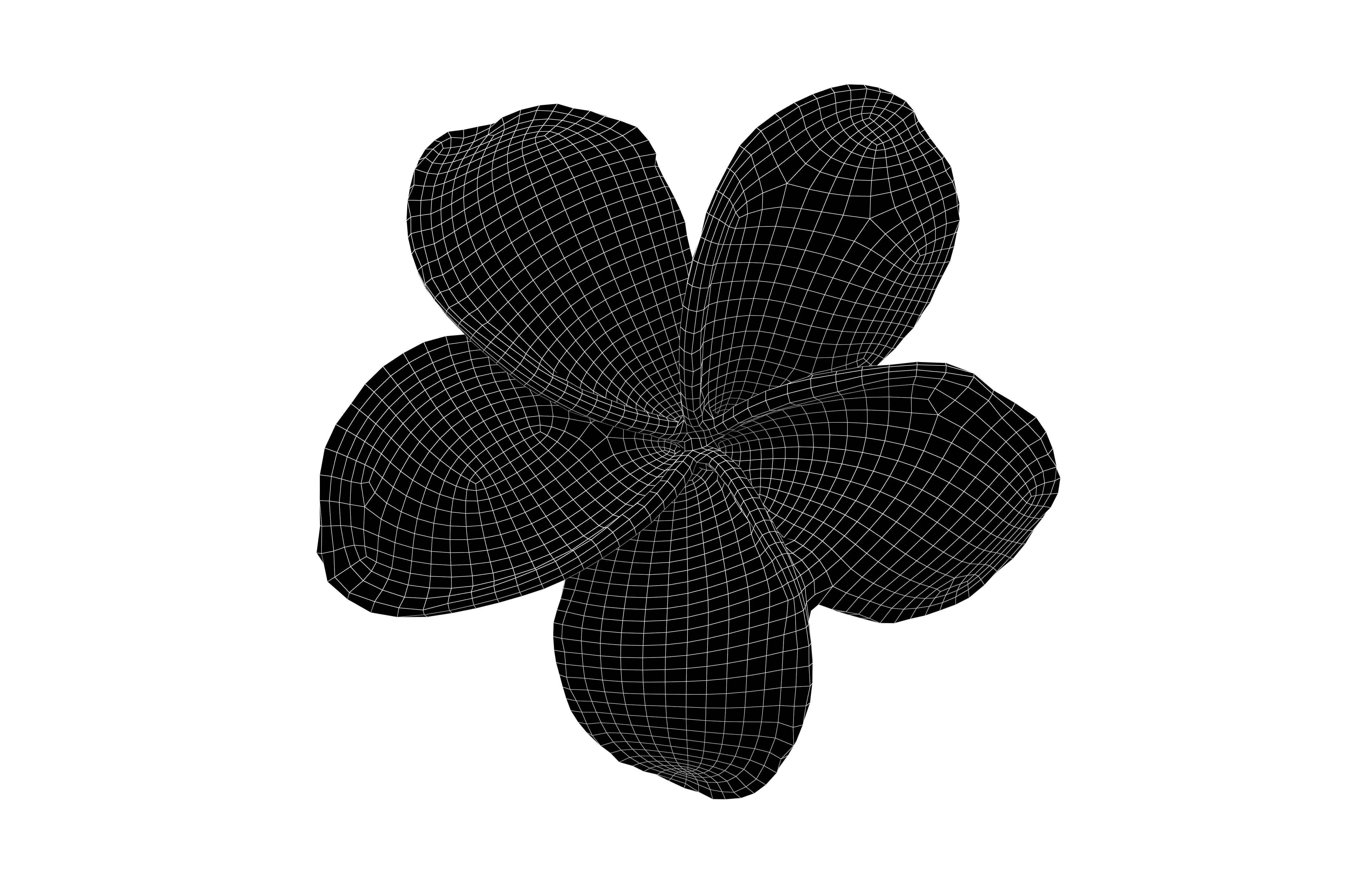 Plumeria Flower v1 004 Low-poly 3D model_5