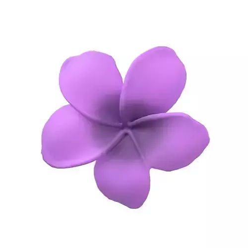 Plumeria Flower v1 004
