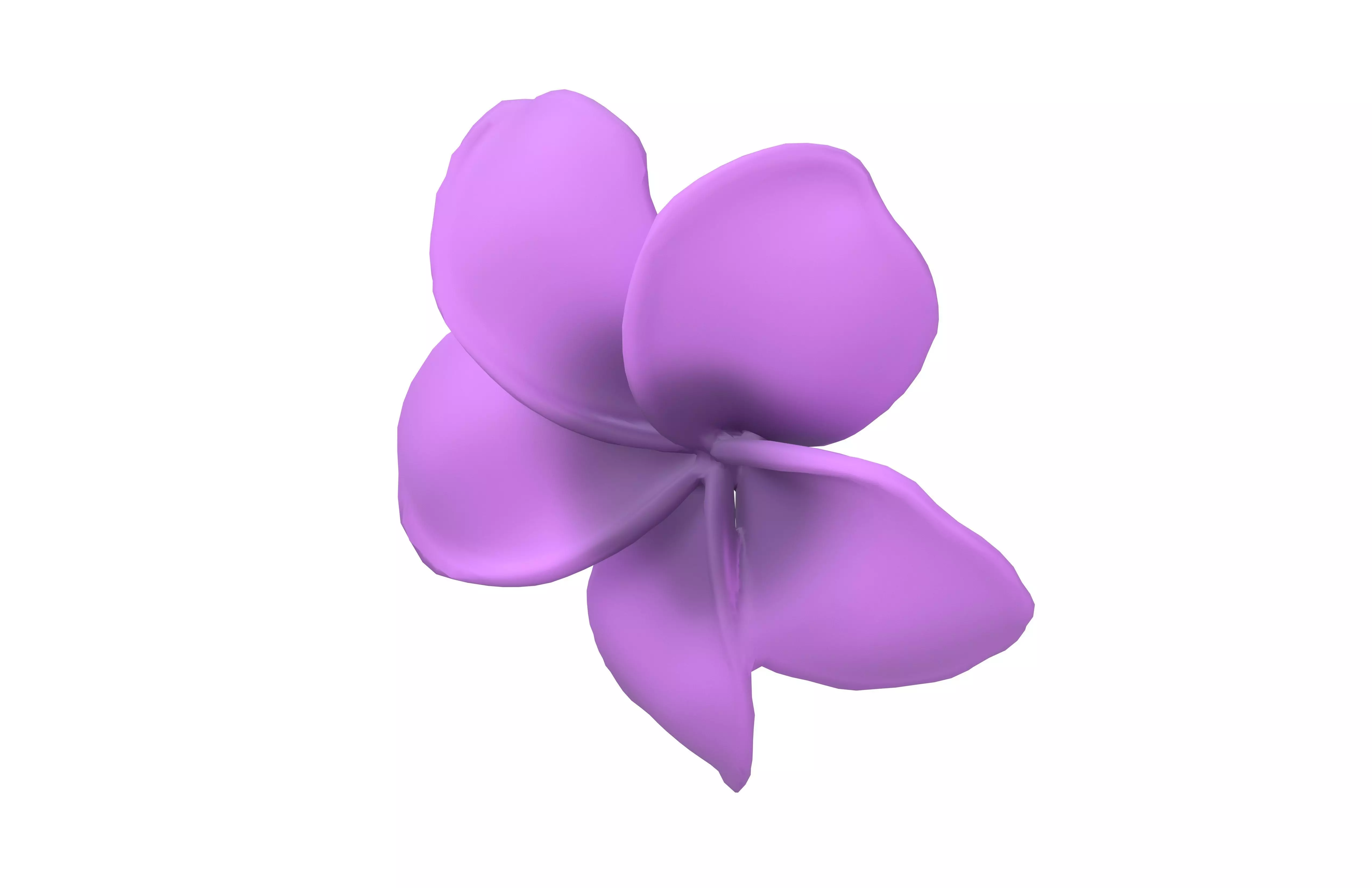 Plumeria Flower v1 004 Low-poly 3D model_3