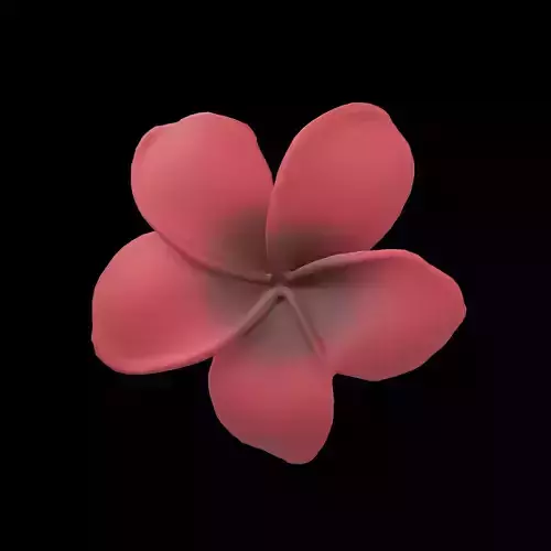 Plumeria Flower v1 005