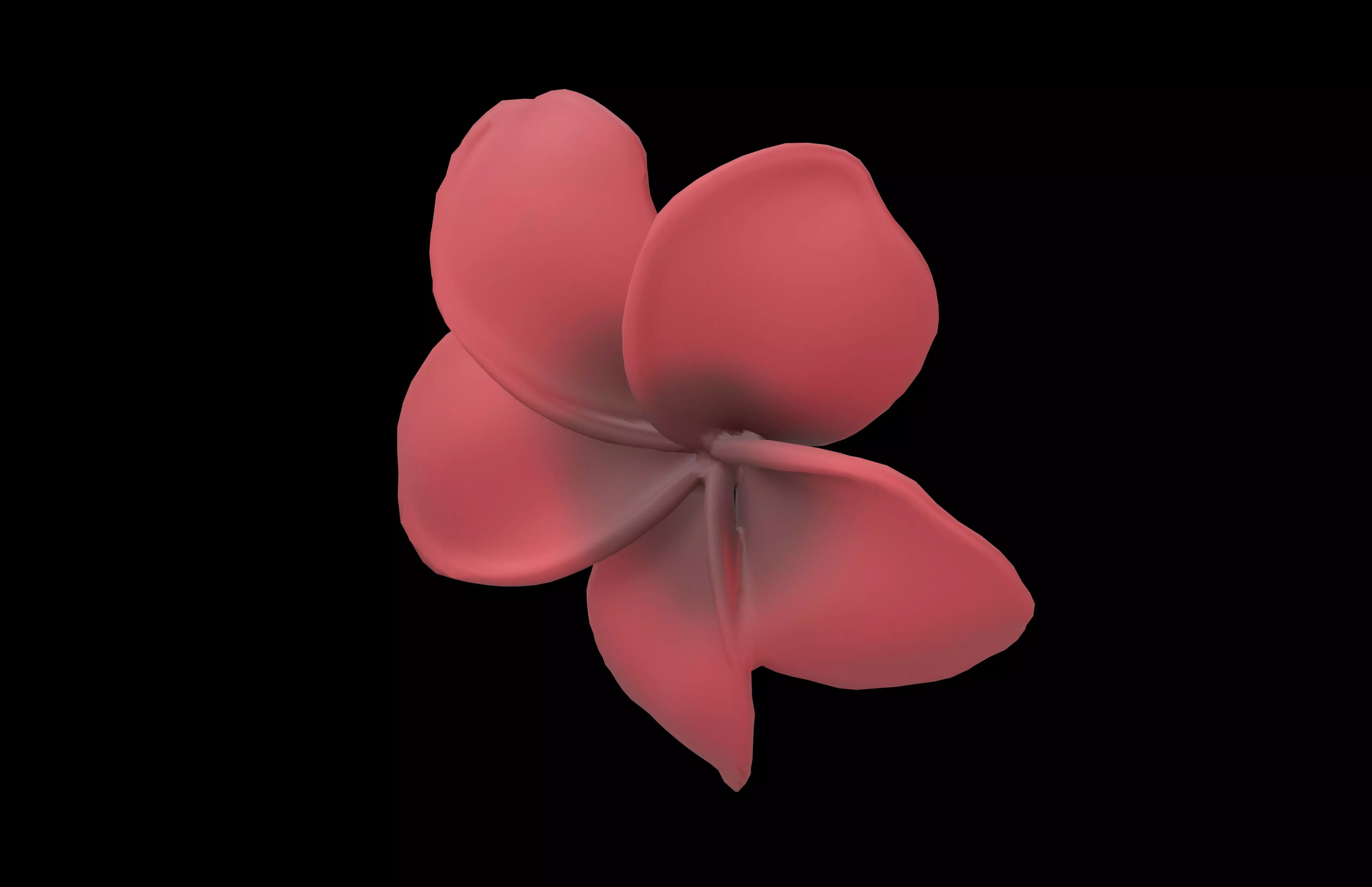 Plumeria Flower v1 005 Low-poly 3D model_3